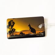 Kangaroo copy